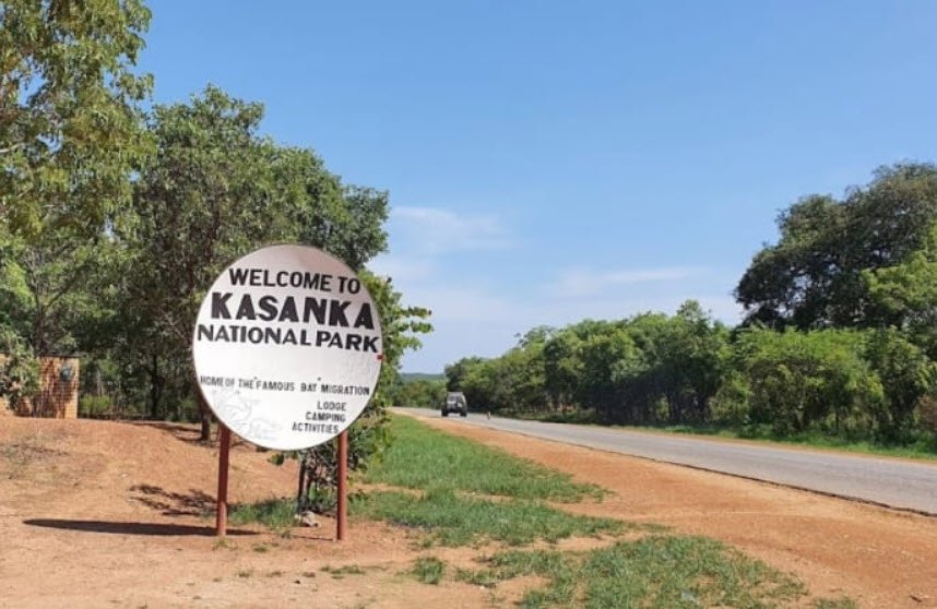 Kasanka National Park, Central Province (Serenje), Zambia
